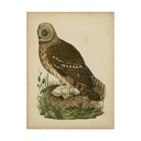 Trademark Fine Art Nozeman 'Antique Nozeman Owl I' Canvas Art, 35x47 WAG00919-C3547GG